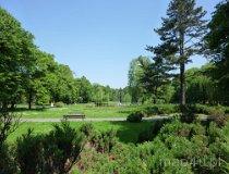 Piotrków Trybunalski. Zabytkowy park miejski im. Księcia Józefa Poniatowskiego (fot. Renata Leśniak-Kordzińska)
