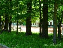 Piotrków Trybunalski. Zabytkowy park miejski im. Księcia Józefa Poniatowskiego (fot. Renata Leśniak-Kordzińska)
