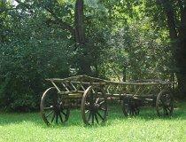 Dzierżązna. Park dworski z początku XX w. (fot. Piotr Wojtaszek)