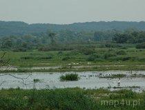 Park Narodowy Ujście Warty (fot. Piotr Wojtaszek)