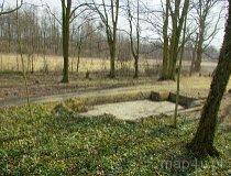 Bartosz&oacute;wka. Zesp&oacute;ł dworsko-parkowy. Park dworski, 2 poł. XIX w. (fot. Marek Krym)