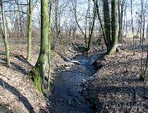 Remiszewice. Grodzisko w parku podworskim. Pozostałość fortalicji Dziwisza, kasztelana spicymierskiego (fot. Tomasz Szwagrzak)