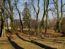 Remiszewice. Dawny zesp&oacute;ł dworsko-parkowy. Park podworski ze stawami (fot. Piotr Solle)