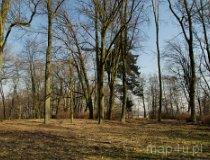 Remiszewice. Dawny zesp&oacute;ł dworsko-parkowy. Park podworski ze stawami (fot. Piotr Solle)