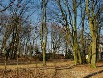 Drzazgowa Wola. Park podworski (fot. Piotr Solle)