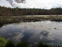 Rezerwat przyrody Brzozowe Bagno (fot. Sabina Piłat)
