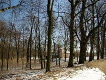 Paplin. Zespół dworsko-parkowy. Park dworski, 2 poł. XIX, pocz. XX w. (fot. Marek Krym)