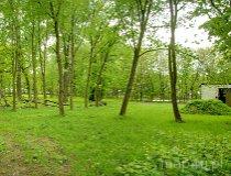 Zbylczyce. Zespół dworsko-parkowy. Park (fot. Marek Krym)
