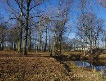 Zbylczyce. Zespół dworsko-parkowy, 1. poł. XIX w. Park (fot. Piotr Solle)