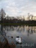 Łask. Park miejski, w tle widoczna kolegiata. (fot. Magdalena Jabłońska)