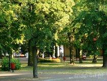 Park na Rynku w Aleksandrowie Łódzkim (fot. Łukasz Konieczny)
