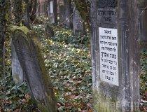 Łódź. Cmentarz żydowski (fot. Łukasz Koziara)