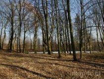 Lubiat&oacute;w. Zesp&oacute;ł dworsko-parkowy. Park podworski (fot. Piotr Solle)