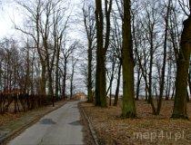 Bujny. Zespół dworski, XIX w. Park (fot. Piotr Solle)