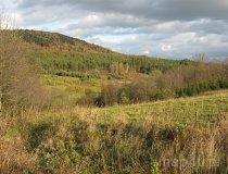 Magurski Park Narodowy (fot. Maciej Kronenberg)