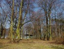 Mroczków Gościnny. Zespół dworsko-parkowy. Park dworski, 1 poł. XIX w. (fot. Piotr Solle)