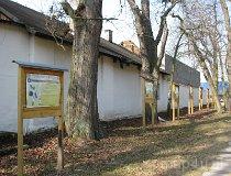 Mroczków Gościnny. Zespół dworsko-parkowy. Park dworski, 1 poł. XIX w. Ścieżka dydaktyczna (fot. Tomasz Szwagrzak)