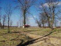 Mniszków. Zespół dworsko-parkowy. Park dworski, XIX w. (fot. Piotr Solle)