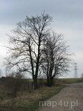 Pytowice. Dawny zesp&oacute;ł dworsko-parkowy. Park dworski, 2 poł. XIX w. (fot. Tomasz Szwagrzak)