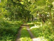 Piaszczyce. Park podworski (fot. Piotr Solle)