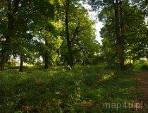 Piaszczyce. Park podworski (fot. Piotr Solle)