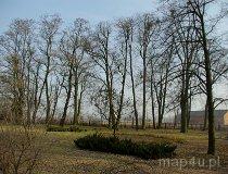 Szydł&oacute;w. Zesp&oacute;ł dworsko-parkowy. Park dworski, 1 poł. XIX w. (fot. Marek Krym)