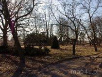 Żuchowice. Zespół dworsko-parkowy. Park dworski, pocz. XIX w. (fot. Piotr Solle)