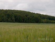 Grobla. Pałac (fot. Łukasz Konieczny)
