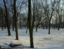 Sieradz. Park miejski „Dziki Ogród” (fot. Marek Krym)