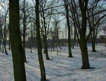 Sieradz. Park miejski „Dziki Ogród” (fot. Marek Krym)