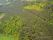 Park Krajobrazowy Lasy nad Górną Liswartą (fot. Kacper Dondziak)