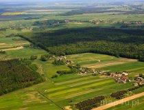 Rezerwat Modrzewiowa G&oacute;ra (fot. Kacper Dondziak)