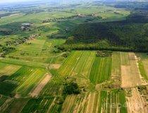 Rezerwat Modrzewiowa G&oacute;ra (fot. Kacper Dondziak)