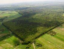 Rezerwat Modrzewiowa G&oacute;ra (fot. Kacper Dondziak)