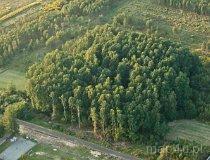 Kuźnica Stara. Dwór (fot. Kacper Dondziak)