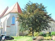 Wodzisław Śląski. Kości&oacute;ł ewangelicko-augsburski. Wraz z przyległym budynkiem Sądu Rejonowego, jest elementem zespołu pofranciszkańskiego. Kości&oacute;ł klasztorny, pierwotnie pod wezwaniem św. Tr&oacute;jcy wzniesiony został w XV wieku. W XVII wieku wzniesiony został budynek klasztoru wraz z obszernym dziedzińcem, w kt&oacute;rym dziś mieści się siedziba Sądu Rejonowego. (fot. Iwona Jeszka)