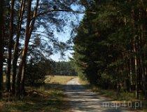 Szlak rowerowy między Załęczem Wielkim a Bobrownikami (fot. Marta Pabich-Makoska)