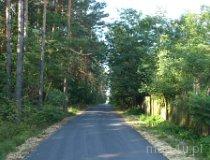Szlak rowerowy między Kluskami a Załęczem Wielkim (fot. Arkadiusz Makoski)