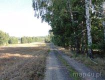 Szlak rowerowy między Kluskami a Załęczem Wielkim (fot. Arkadiusz Makoski)