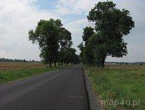 Szlak EWI 12 pomiędzy Kurowem a Piaskami (fot. Maciej Kronenberg)