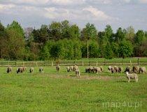 Dzietrzniki. Gospodarstwo agroturystyczne „Nad Strugą” - B. J. Kalembowie, Dzietrzniki 216 (fot. Piotr Solle)