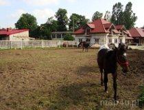 Kamion. Ranczo za mostem (fot. Marta Pabich)