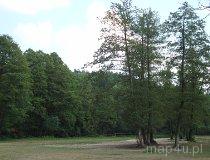Krzeczów. Gospodarstwo agroturystyczne "Ranczo nad Wartą", Wczasowa 2 (fot. Arkadiusz Makoski)
