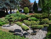 Odolanów. Rynek (fot. Piotr Wojtaszek)