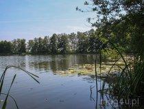 Gmina Łobżenica. Jezioro Długie (fot. Łukasz Konieczny)