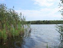 Gmina Wyrzysk. Jezioro Gleszczońskie (fot. Łukasz Konieczny)