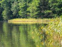 Gmina Lipka. Jezioro Gogolin Wielki (fot. Łukasz Konieczny)