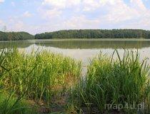 Gmina Lipka. Jezioro Łąkie (fot. Łukasz Konieczny)