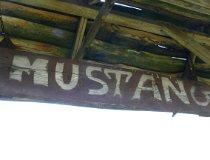 Przanowice. Stajnia "Mustang", Przanowice 69, widok na ośrodek (fot. Łukasz Konieczny)