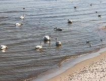 Kołobrzeg (fot. Łukasz Konieczny)